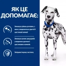 Фото - ветеринарные корма Hill's Prescription Diet u/d Urinary Care корм для собак при мочекаменной болезни и заболеваниях почек