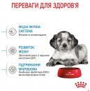 Фото - сухий корм Royal Canin MEDIUM PUPPY корм для цуценят середніх порід від 2 до 12 місяців