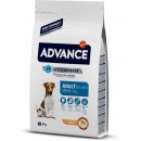 Advance (Эдванс) Dog Mini Adult - корм для взрослых собак маленьких пород (с курицей и рисом)