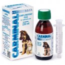 Фото - для желудочно-кишечного тракта (ЖКТ) Catalysis S.L. Carminal Pets (Карминал Петс) препарат при расстройствах пищеварения у кошек и собак