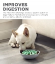 Фото - миски, поилки, фонтаны Outward Hound DOG SPIN N`EAT GRN кормушка-головоломка для собак, зеленый