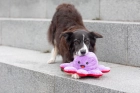 Фото - игрушки Trixie ОСЬМИНОГ двусторонняя игрушка для собак, 35 см (35929)