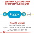 Фото - сухой корм Royal Canin JACK RUSSELL PUPPY (ДЖЕК РАССЕЛ ПАППИ) корм для щенков до 10 месяцев