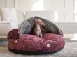 Фото - лежаки, матраси, килимки та будиночки Harley & Cho COVER PLUSH CHERRY лежак з капюшоном для собак, вишневий