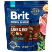 Фото - сухий корм Brit Premium Dog Sensitive Lamb & Rice сухий корм для собак з чутливим травленням ЯГНЯ та РИС