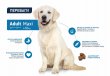 Фото - сухий корм Advance (Едванс) Dog Maxi Adult - корм для дорослих собак великих порід (з куркою та рисом)