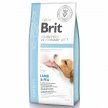 Фото - ветеринарные корма Brit Veterinary Diet Dog Grain Free Obesity Lamb & Pea беззерновой сухой корм для собак c избыточным весом ЯГНЕНОК и ГОРОХ