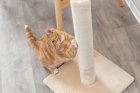 Фото - дряпалки, з будиночками Trixie Batres кігтеточка-стовпчик для котів, бежевий (43360)