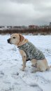 Фото - одежда Collar WAUDOG куртка-накидка для собак МИЛИТАРИ