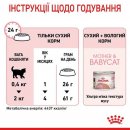 Royal Canin Mother & Babycat (БЕБІКЕТ) сухий корм для кошенят 1-4 місяці, вагітних та лактуючих