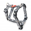 Фото - амуніція Max & Molly Urban Pets H-Harness шлея для собаки Zebra