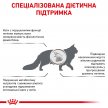 Фото - ветеринарні корми Royal Canin HEPATIC HF26 (ГЕПАТИК) сухий лікувальний корм для котів від 1 року