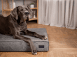 Фото - лежаки, матрасы, коврики и домики Harley & Cho OLIVER VELUR GRAY ортопедический матрас для собак, серый
