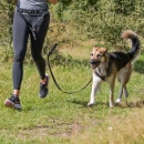 Фото - дресирування та спорт Trixie Ремінь з повідцем для бігу з собакою, чорний/графіт (12766)