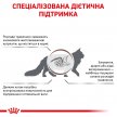 Фото - ветеринарные корма Royal Canin GASTRO INTESTINAL MODERATE CALORIE (ГАСТРО ИНТЕСТИНАЛ УМЕРЕННАЯ КАЛОРИЙНОСТЬ) сухой лечебный корм для кошек