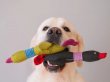 Фото - игрушки Harley & Cho Хосе Карлос Graphite мягкая игрушка для собак, графит