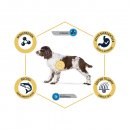 Advance (Эдванс) Dog Sensitive Medium-Maxi Salmon & Rice - корм для взрослых собак, склонных к пищевой аллергии