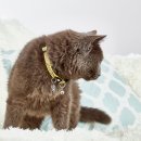 Фото - шлейки, ошейники Max & Molly Urban Pets Smart ID Cat Collar ошейник для кошек с QR-кодом Monkey Maniac