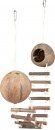 Фото - домики и спальные места Trixie Домики из кокосов с лесенкой для грызунов (62103)