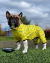 Фото - одежда Collar WAUDOG дождевик для собак СМЕЛОСТЬ