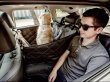 Фото - аксесуари в авто Harley & Cho SAVER GRAY автогамак для собаки в машину, сірий