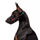 Фото - амуниция Collar WAUDOG Nylon намордник для собак, пластиковый фастекс NASA