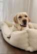 Фото - лежаки, матрасы, коврики и домики Harley & Cho DREAMER FUR MILKY лежак для собак, молочный