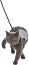 Фото - шлейки, ошейники Trixie Шлея с поводком для кошек  (41896)