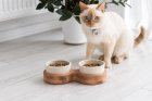 Фото - миски, напувалки, фонтани PetJoy Миска подвійна керамічна на підставці для котів та маленьких собак, коричневий/бежевий