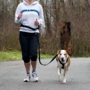Фото - амуниция Trixie WAIST BELT WITH LEASH поводок с поясным ремнем для средних  и крупных собак (12767)
