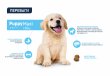 Фото - сухий корм Advance (Едванс) Dog Maxi Puppy - корм для цуценят великих порід (з куркою та рисом)