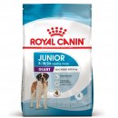 Фото - сухой корм Royal Canin GIANT JUNIOR (ЮНИОРЫ ГИГАНТСКИХ ПОРОД) корм для щенков от 8-24 месяцев