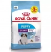 Фото - сухий корм Royal Canin GIANT PUPPY корм для цуценята гігантських порід від 2 до 8 місяців