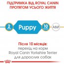 Фото - сухой корм Royal Canin YORKSHIRE TERRIER PUPPY (ЙОРКШИР ТЕРЬЕР ПАППИ) корм для щенков до 10 месяцев