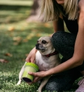 Фото - лапомийка Dexas (Дексас) MUDBUSTER силіконова лапомийка для собак, зелений