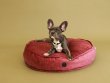 Фото - лежаки, матрасы, коврики и домики Harley & Cho MEMORY FOAM ISLAND BERRY ортопедическая подушка для собак и кошек, розовый