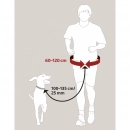 Фото - дрессировка и спорт Trixie Комплект для бега с собакой (1275)