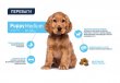 Фото - сухий корм Advance (Едванс) Dog Medium Puppy - корм для цуценят середніх порід (з куркою та рисом)
