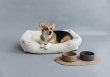 Фото - лежаки, матрасы, коврики и домики Harley & Cho DREAMER FUR MILKY лежак для собак, молочный