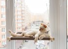 Фото - спальні місця, лежаки PetJoy Гамак на вікно для кота, білий/бежевий