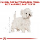 Фото - сухий корм Royal Canin WESTIE HIGHLAND WHITE TERRIER ADULT (ВЕСТ ХАЙЛЕНД ВАЙТ ТЕР'ЄР ЕДАЛТ) корм для собак від 10 місяців