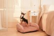 Фото - лежаки, матрасы, коврики и домики Harley & Cho SLEEPER MINI PUDRA диван для собак малых пород и кошек, пудровый