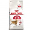 Фото - сухий корм Royal Canin FIT 32 (ФІТ 32) сухий корм для дорослих кішок до 10 років