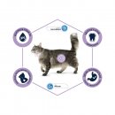 Advance (Едванс) Cat Hairball - корм для кішок для виведення шерсті зі шлунка (з індичкою та рисом)