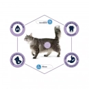Фото - сухий корм Advance (Едванс) Cat Hairball - корм для кішок для виведення шерсті зі шлунка (з індичкою та рисом)