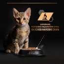 Фото - вологий корм (консерви) Purina Pro Plan (Пуріна Про План) Kitten Healthy Start Turkey вологий корм для кошенят ІНДИЧКА