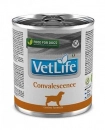 Фото - ветеринарні корми Farmina (Фарміна) Vet Life Convalescence вологий корм для собак у період одужання