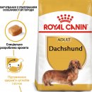 Фото - сухой корм Royal Canin DACHSHUND ADULT (ТАКСА ЭДАЛТ) корм для собак от 10 месяцев