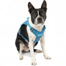 Фото - амуниция Kurgo County Harness шлея для собак, голубой