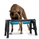 Фото - миски, напувалки, фонтани DEXAS Adjustable Height Pet Feeder - Миска подвійна на підставці з регульованими ніжками для собак, термопластик, яскраво-блакитний